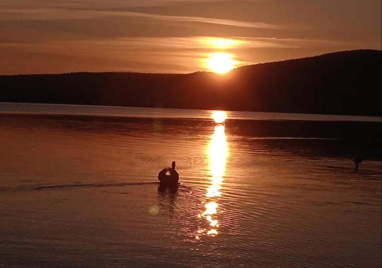 Dolce Lago Trevignano Romano Kültér fotó